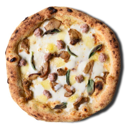 TARAGNA